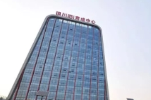 案例五